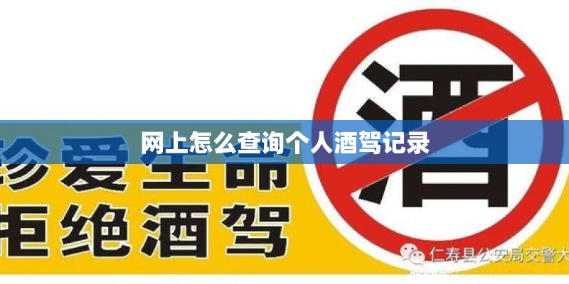 网上怎么查询个人酒驾记录