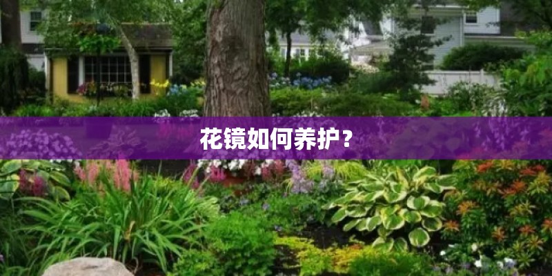古埃及非常普遍的植物