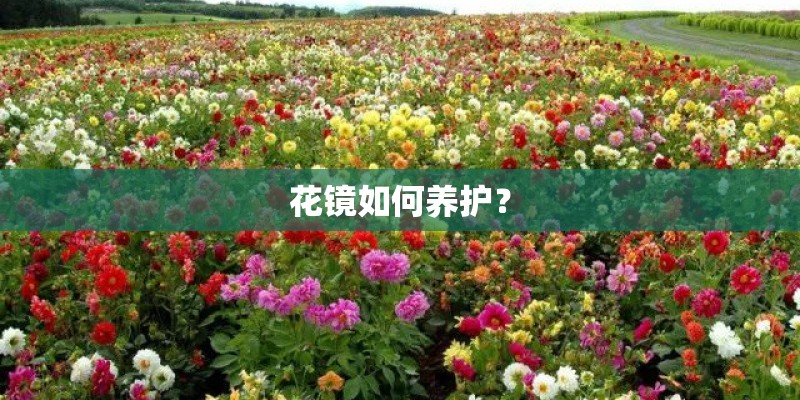 花镜如何养护? 花镜如何养护?