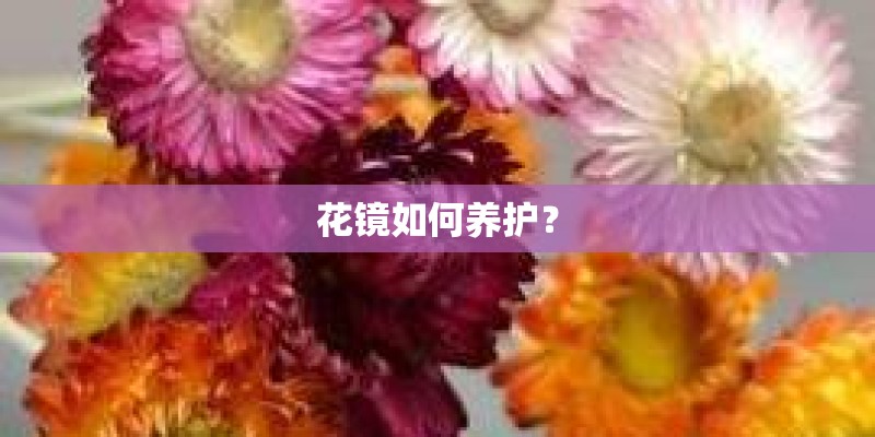 花镜如何养护? 花镜如何养护?