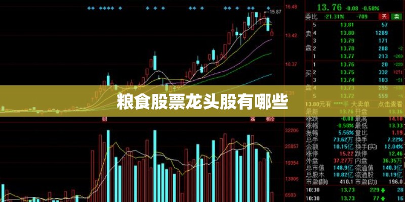 粮食股票龙头股有哪些