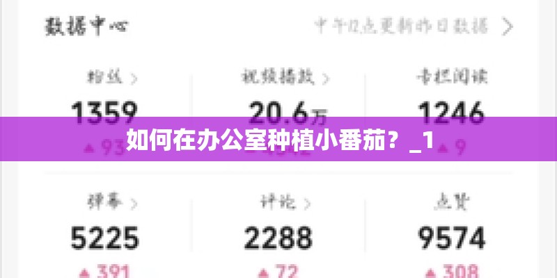 如何在办公室种植小番茄?_1 如何在办公室种植小番茄?_1