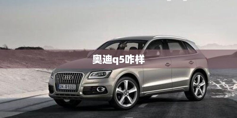 奥迪q5咋样