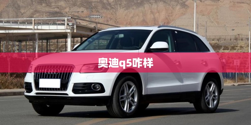 奥迪q5咋样