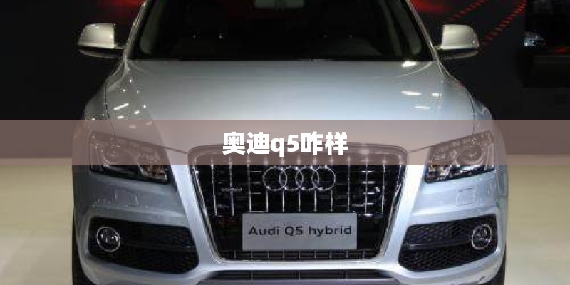 奥迪q5咋样
