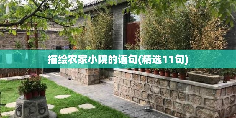 描绘农家小院的语句(精选11句)