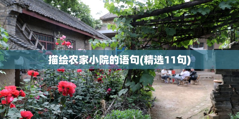 描绘农家小院的语句(精选11句)