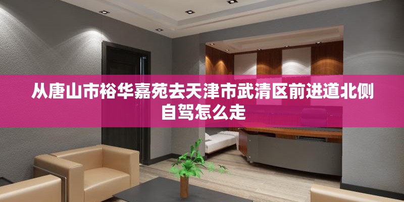 从唐山市裕华嘉苑去天津市武清区前进道北侧自驾怎么走
