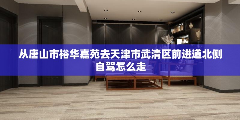 从唐山市裕华嘉苑去天津市武清区前进道北侧自驾怎么走
