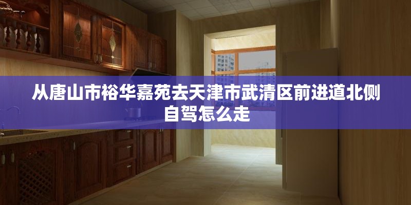 从唐山市裕华嘉苑去天津市武清区前进道北侧自驾怎么走