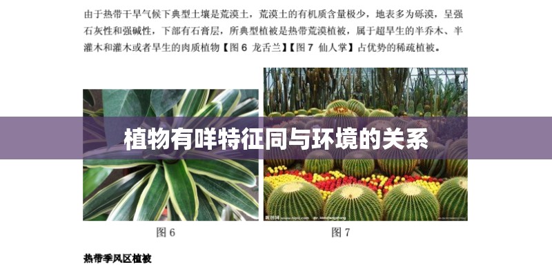 植物有咩特征同与环境的关系