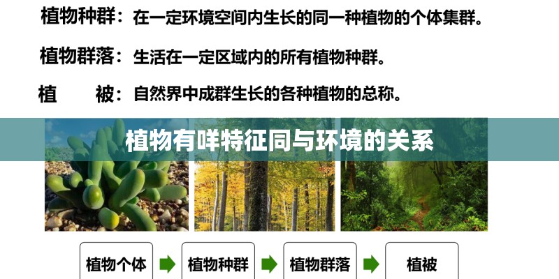植物有咩特征同与环境的关系