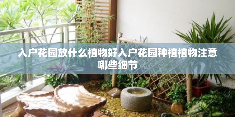入户花园放什么植物好入户花园种植植物注意哪些细节