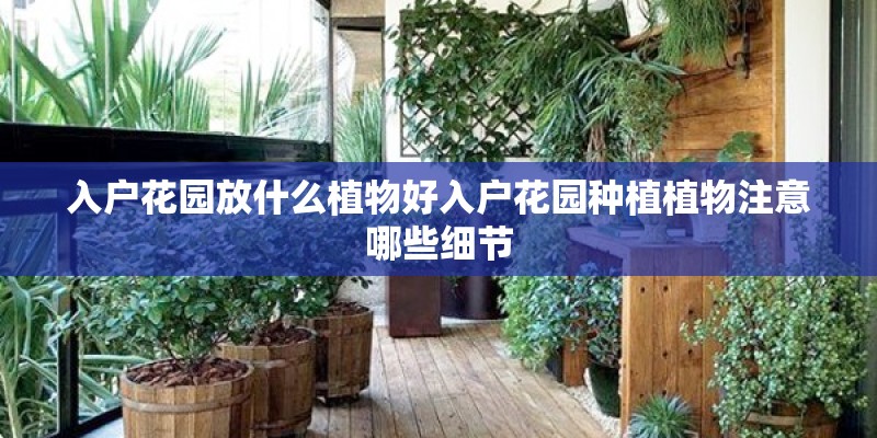 入户花园放什么植物好入户花园种植植物注意哪些细节
