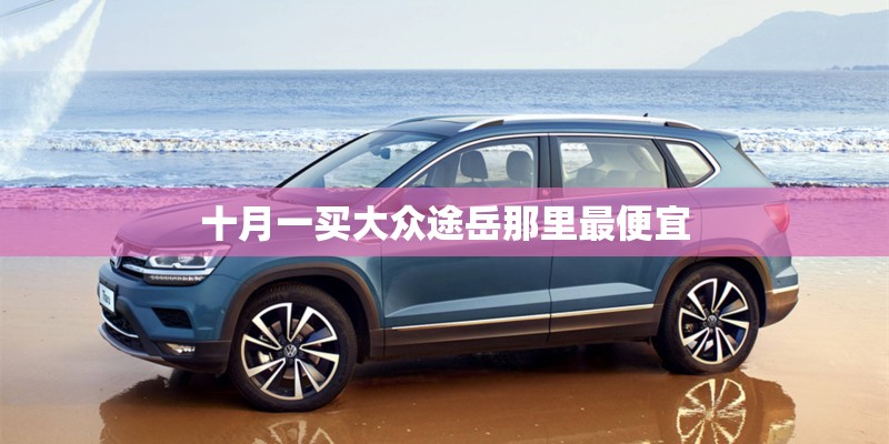 十月一买大众途岳那里最便宜