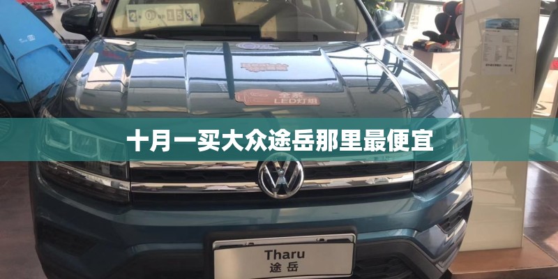 十月一买大众途岳那里最便宜