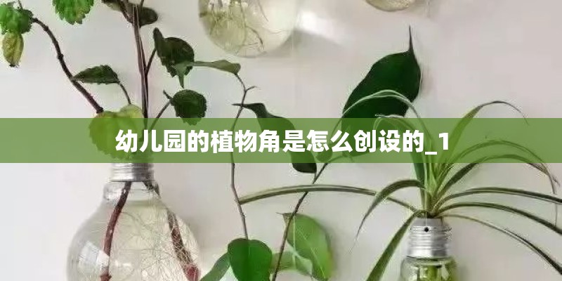 幼儿园的植物角是怎么创设的_1