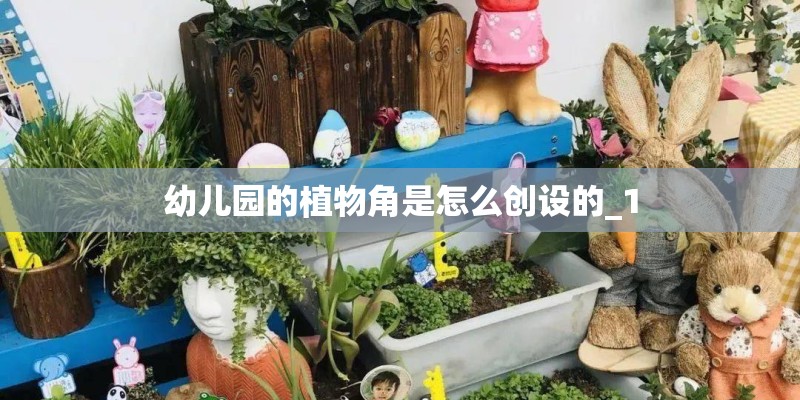 幼儿园的植物角是怎么创设的_1