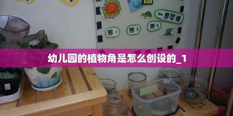 幼儿园的植物角是怎么创设的_1
