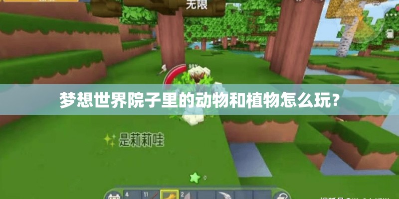 梦想世界院子里的动物和植物怎么玩？