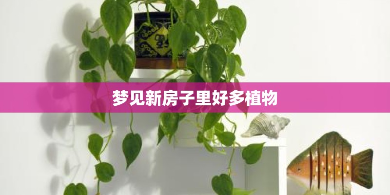 梦见新房子里好多植物