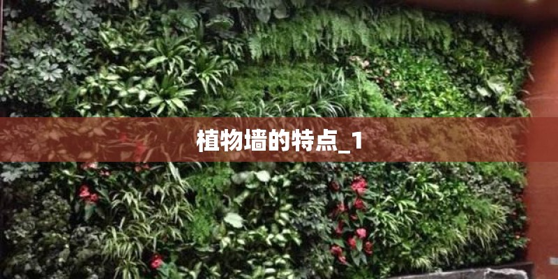 植物墙的特点_1