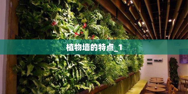 植物墙的特点_1
