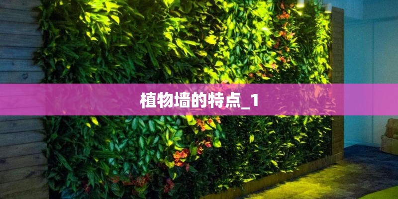 植物墙的特点_1