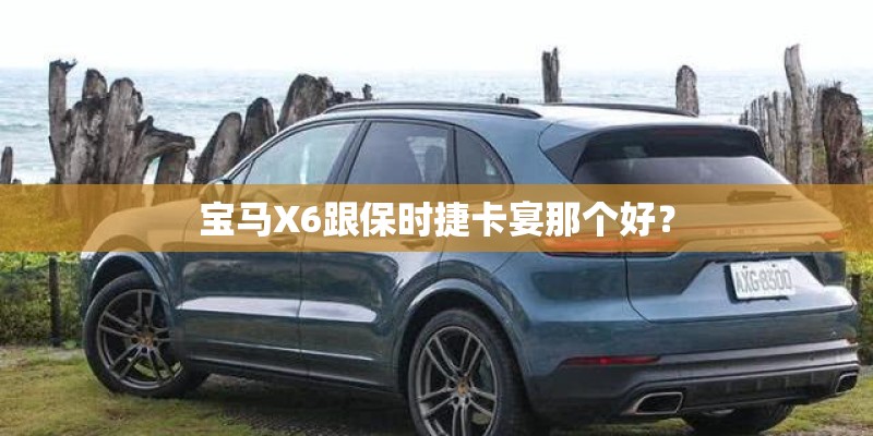 宝马X6跟保时捷卡宴那个好？