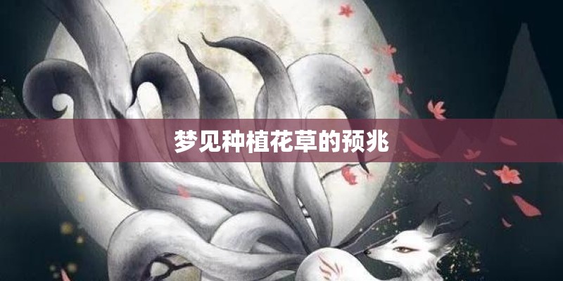 梦见种植花草的预兆