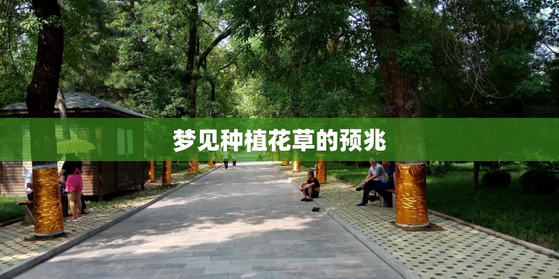 梦见种植花草的预兆