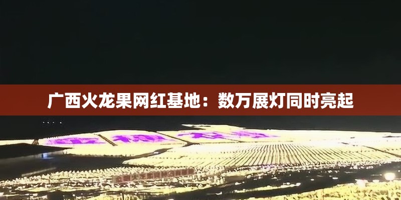 广西火龙果网红基地：数万展灯同时亮起