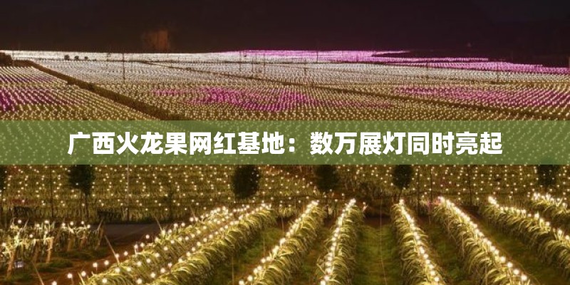 广西火龙果网红基地：数万展灯同时亮起