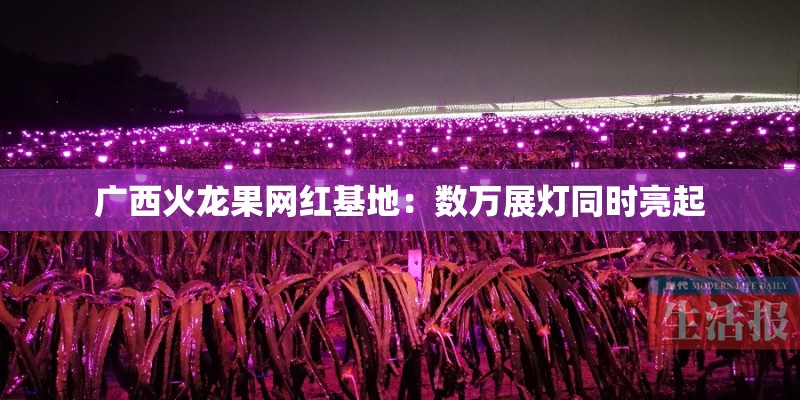 广西火龙果网红基地：数万展灯同时亮起