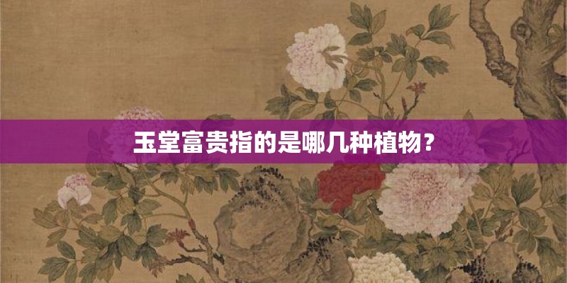 玉堂富贵指的是哪几种植物？