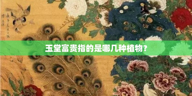 玉堂富贵指的是哪几种植物？