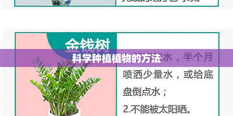 科学种植植物的方法 科学种植植物的方法