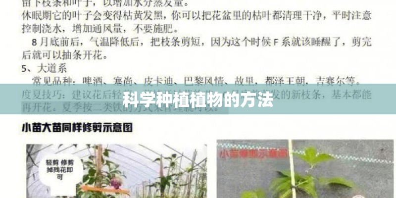 科学种植植物的方法 科学种植植物的方法