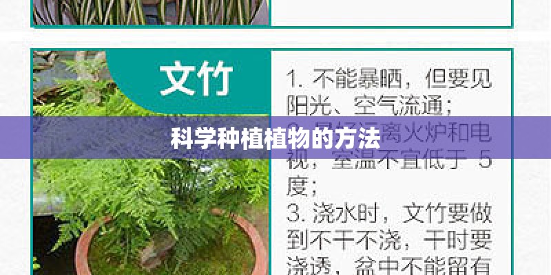 科学种植植物的方法 科学种植植物的方法