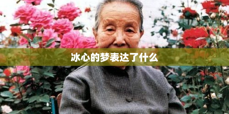 冰心的梦表达了什么