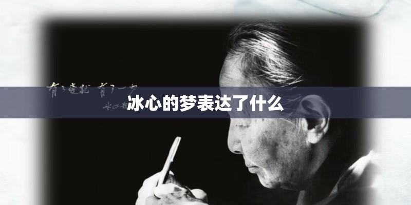 冰心的梦表达了什么