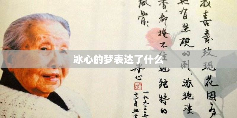 冰心的梦表达了什么
