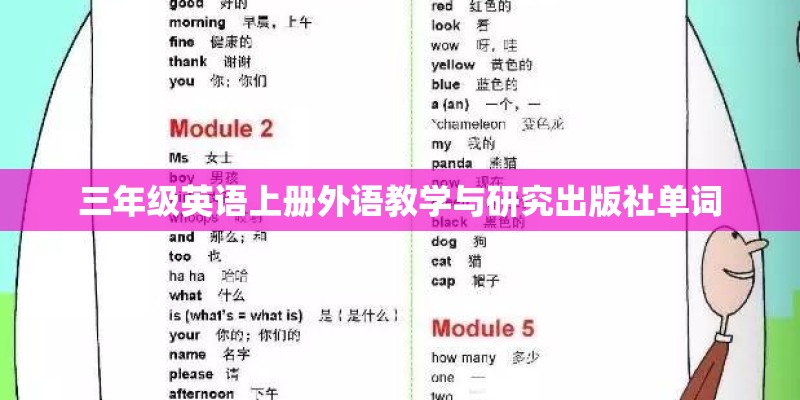 三年级英语上册外语教学与研究出版社单词 三年级英语上册外语教学与研究出版社单词