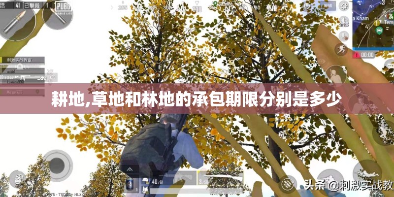 耕地,草地和林地的承包期限分别是多少