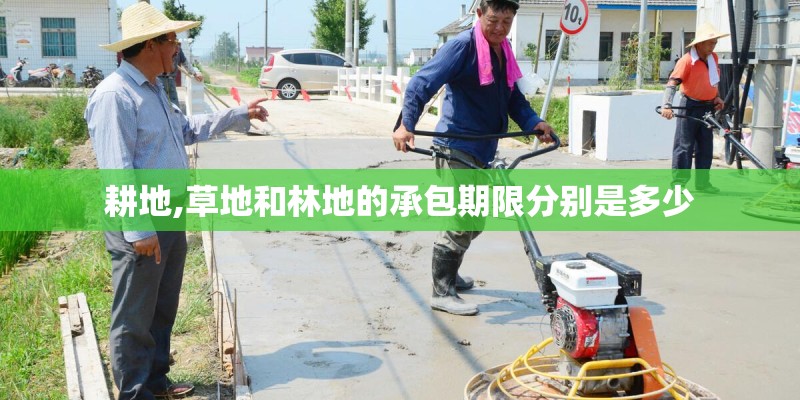 耕地,草地和林地的承包期限分别是多少