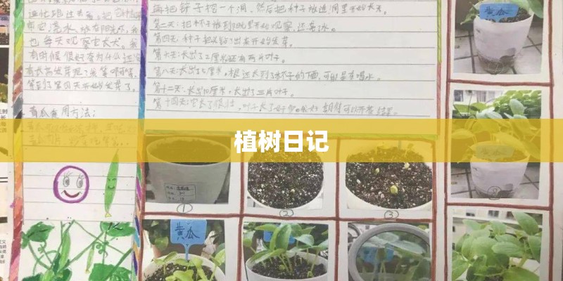 植树日记