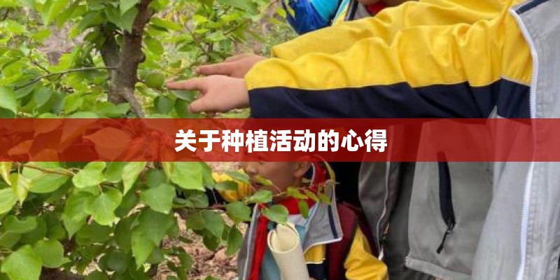关于种植活动的心得