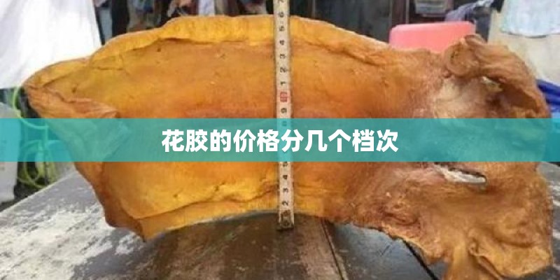 花胶的价格分几个档次