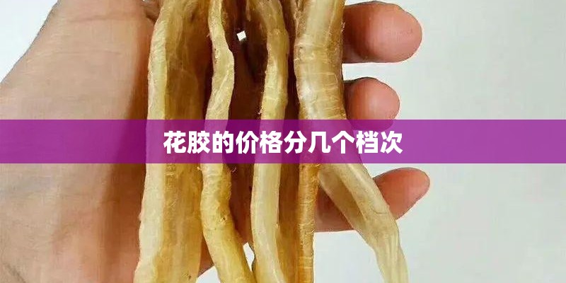 花胶的价格分几个档次