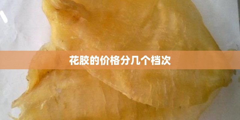 花胶的价格分几个档次